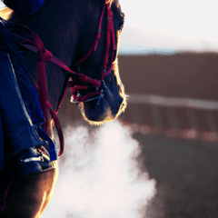 競馬の馬券とコインを前に、お金の使い方やリスクについて考える若者のイメージ。投資とギャンブルの違いを象徴するビジュアル